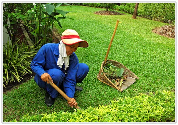 La jardinière de Bangkok