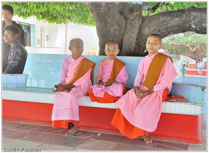 Jeunes moines féminines