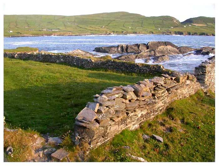iebeara6172gf