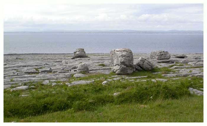 ieburren6685gf