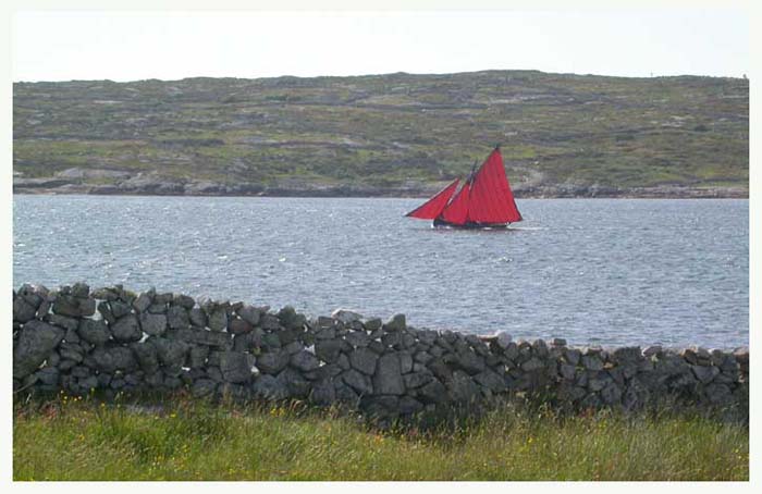 ieconnemara6779gf