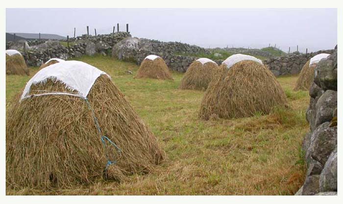 ieconnemara6923gf