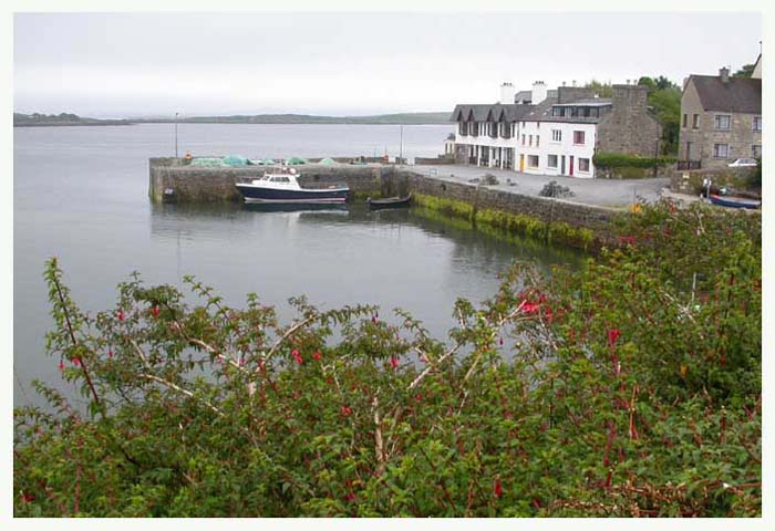 ieconnemara6949gf