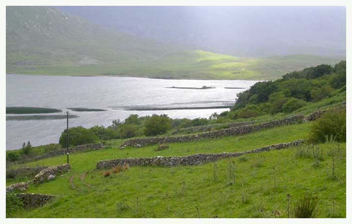 ieconnemara7067gf