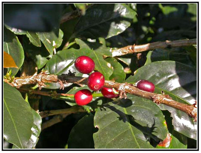 DSCN0370