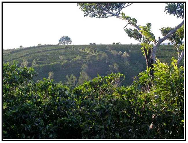 DSCN0375