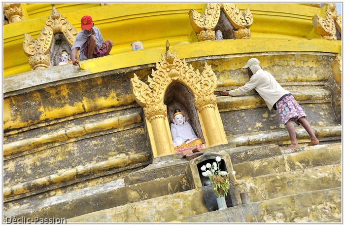 Le jaune d'or, une peinture qui fait recette !