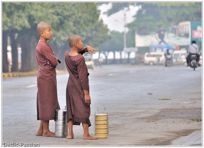 Au petit matin, ces deux moinillons attendent leur pitance