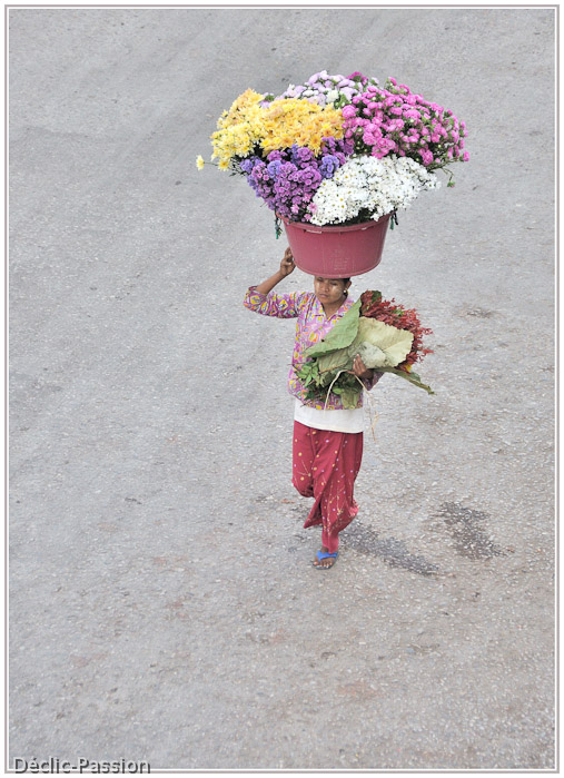 Départ pour le marché