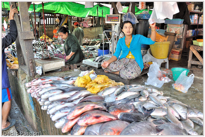 La poissonnière