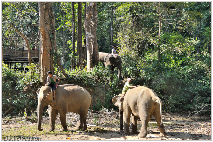 Un moment dans la jungle...