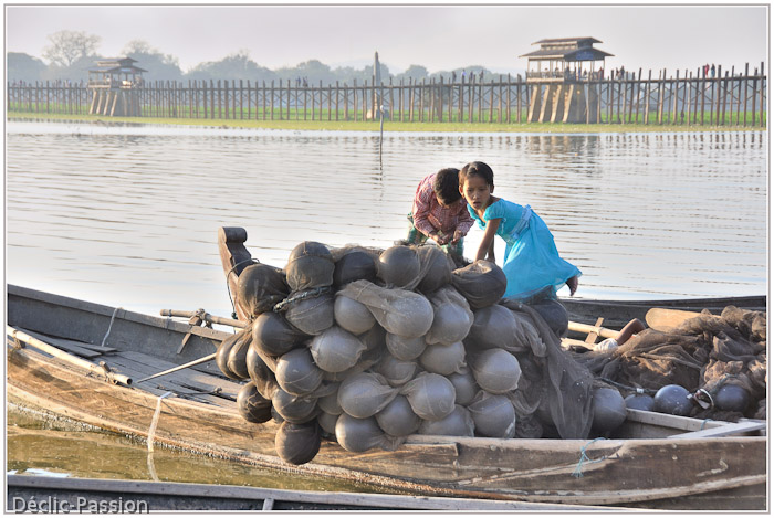 Les barques sont de...