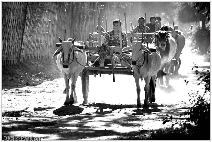 ... en route pour Kalaw !