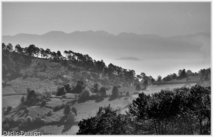 Brume dans la vallée