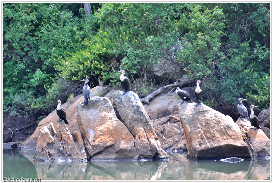 Blyde River Canyon