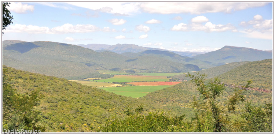 Plaine du Lowveld.