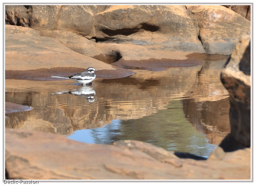 Bourke's Luck Potholes