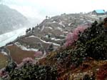 DSCN0636